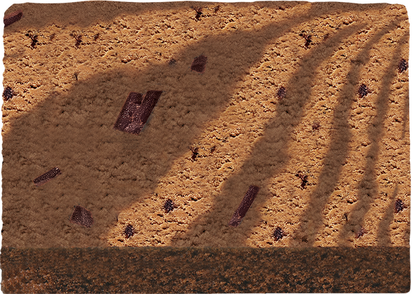 ポムポムプリン