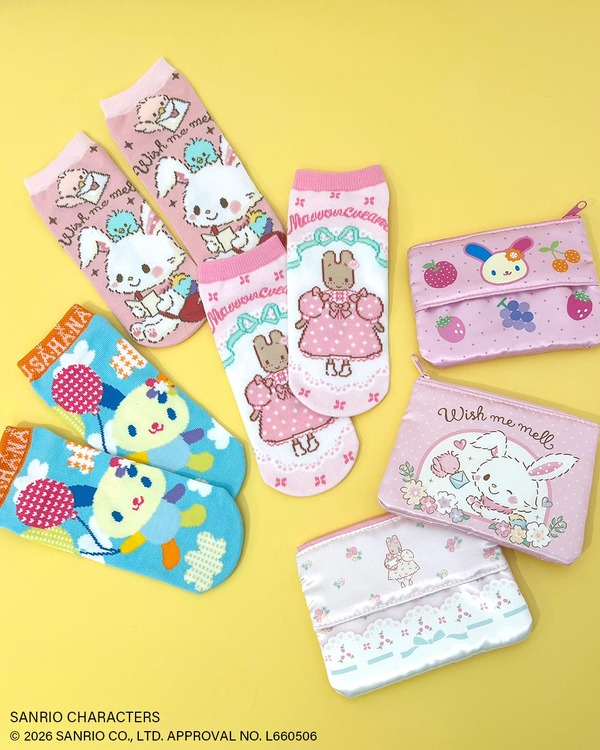 ポケットティッシュポーチ、アンクルソックス