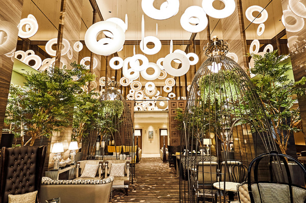 【店舗概要】 Cafe & Dining ZelkovA（カフェ＆ダイニング ゼルコヴァ）