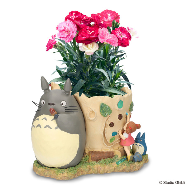 となりのトトロ 『トトロとおえかきメイちゃん』とマジカルチュチュセット