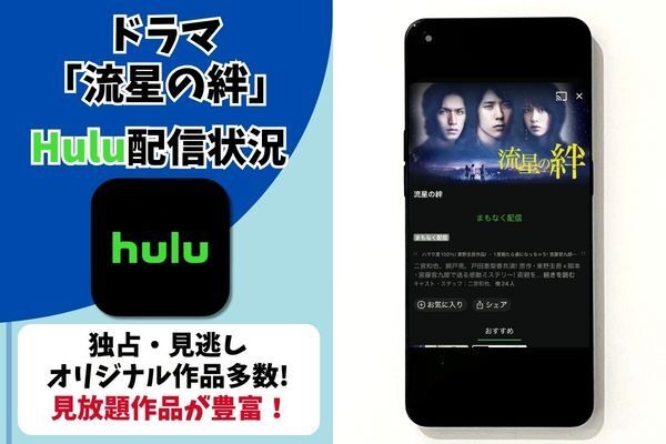 ドラマ『流星の絆』Hulu配信状況