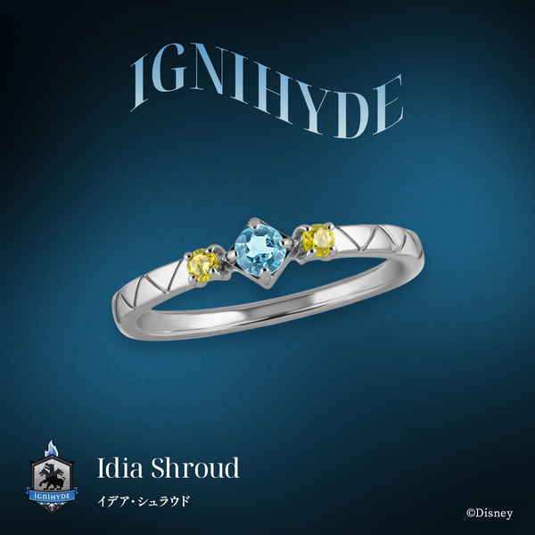 『ディズニー ツイステッドワンダーランド』コレクション第1弾～第7弾＆『ディズニー ツイステッドワンダーランド』シルバーリング