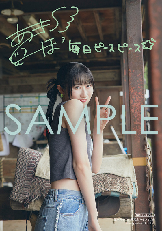 『涼本あきほ1st写真集 あきいちばん』