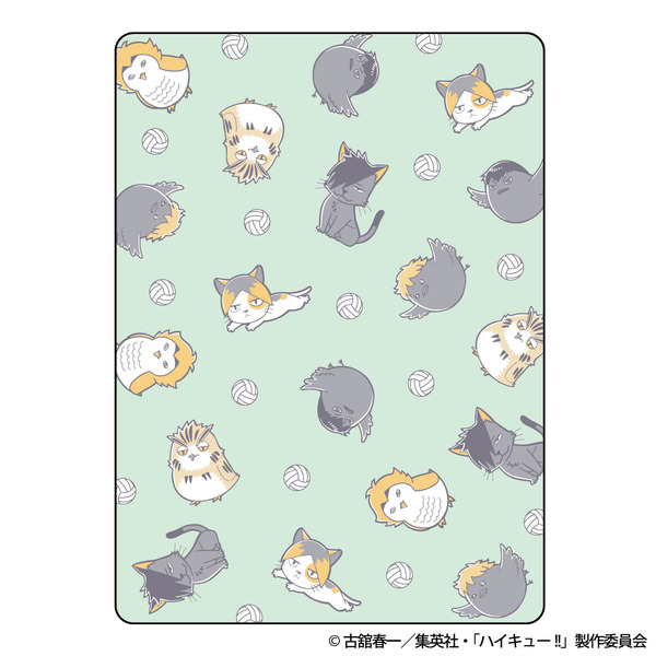 Coleman ピクニックマット