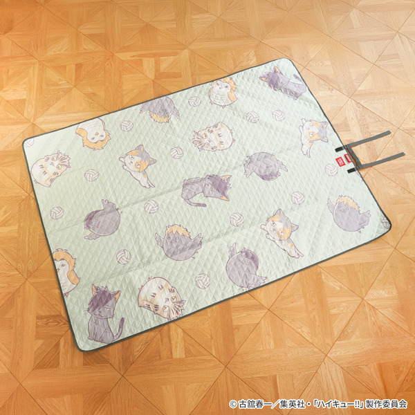 Coleman ピクニックマット