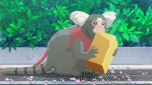 TVアニメ『霧尾ファンクラブ』第1話先行カット