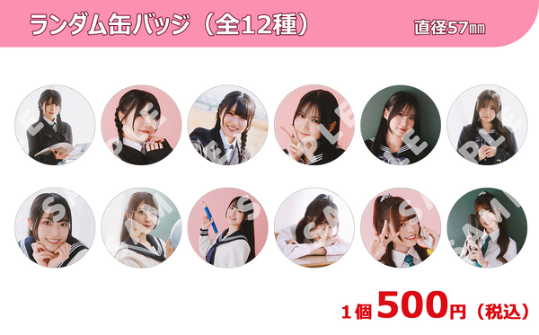 缶バッジ（全12種）