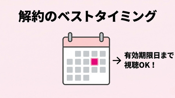DMM TV解約のベストタイミングを示す図