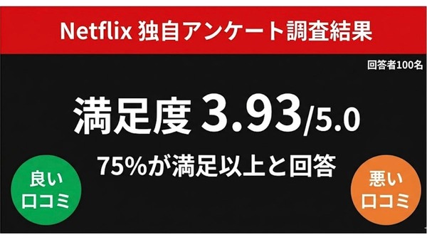 Netflix 独自アンケート調査結果まとめ