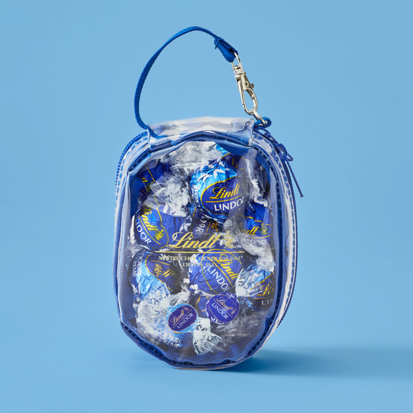 専用ポーチ（ブルー）