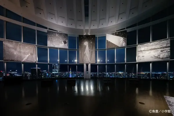 会場エントランス（夜景）