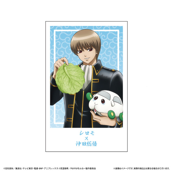 「トレーディングフォト風カード」