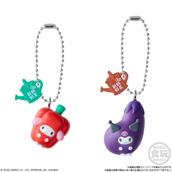 サンリオキャラクターズ ベジタブルビスケット＆チャーム