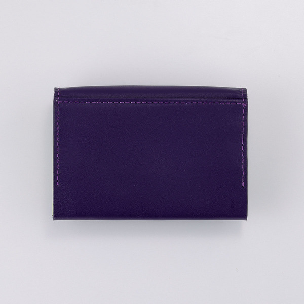 「スティール・ボール・ラン ジョジョの奇妙な冒険 レザーコレクション1」 名刺ケース / ジャイロモデル