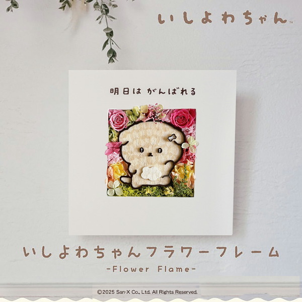 動物のお花屋さんマイペリドット「いしよわちゃん フラワー」作品イメージ