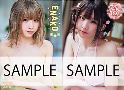 えなこ両面クリアファイル　B柄　