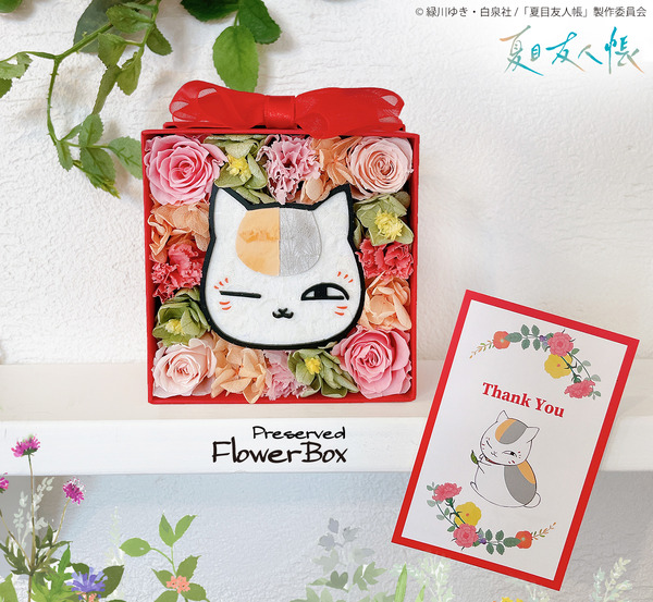 夏目友人帳 ニャンコ先生 赤BOX