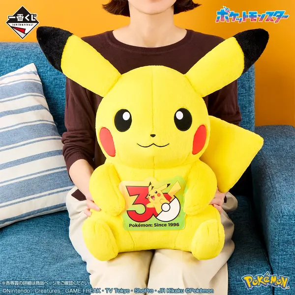 一番くじ Pokémon 30th ANNIVERSARY vol.1