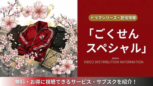 ごくせん スペシャル 配信