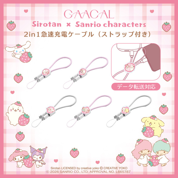 2in1急速充電ケーブル（Type-C）（５種類）