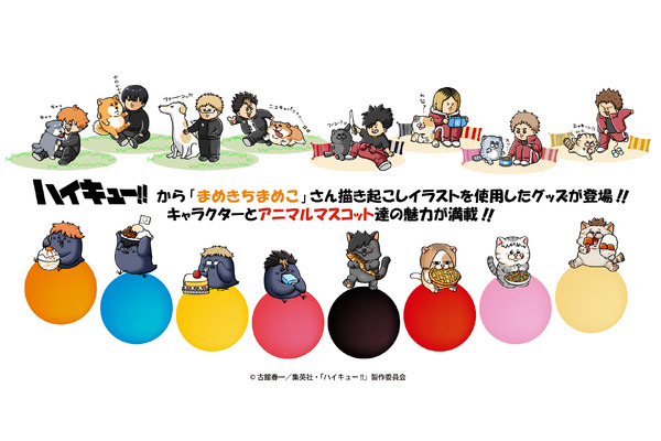 「ハイキュー!!」×まめきちまめこ