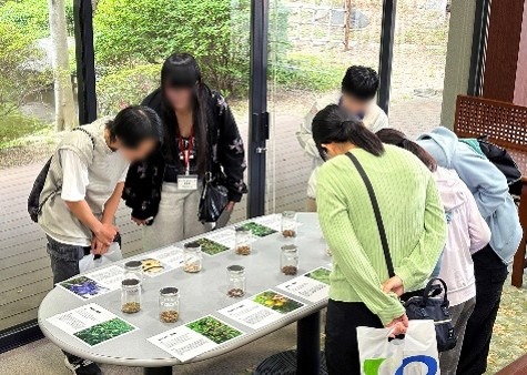猫猫の薬科大『生薬』探索