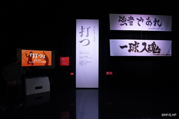 【ビジュアル展示】