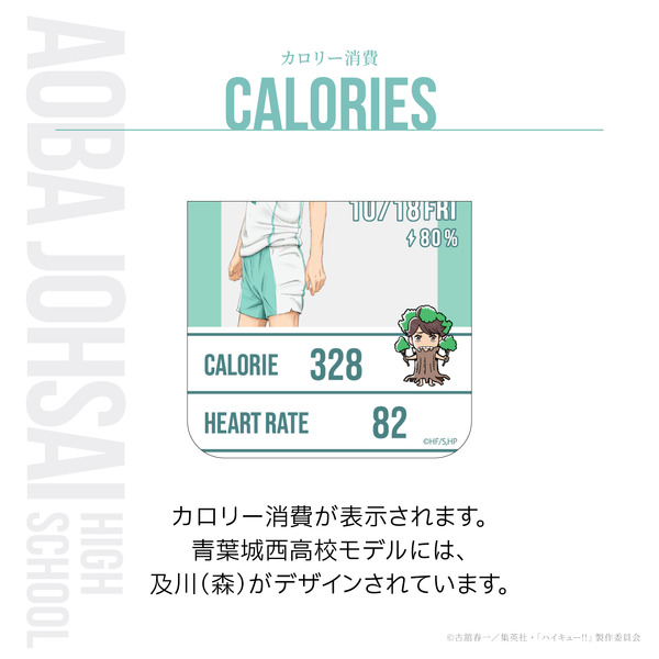青葉城西高校モデル
