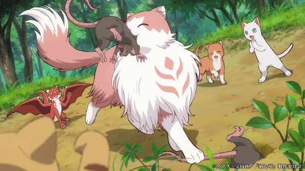 夏アニメ『猫と竜』第1話「猫と竜」先行カット