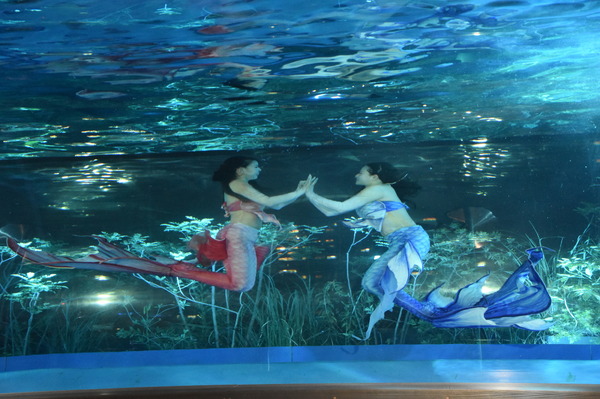 夜間限定営業 サンシャイン水族館×超かぐや姫！ ツクヨミアクアリウム