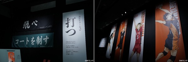 【ビジュアル展示】