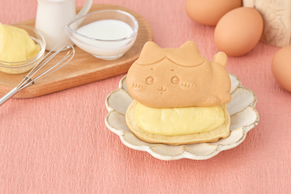 ハチワレ（クリーム）
