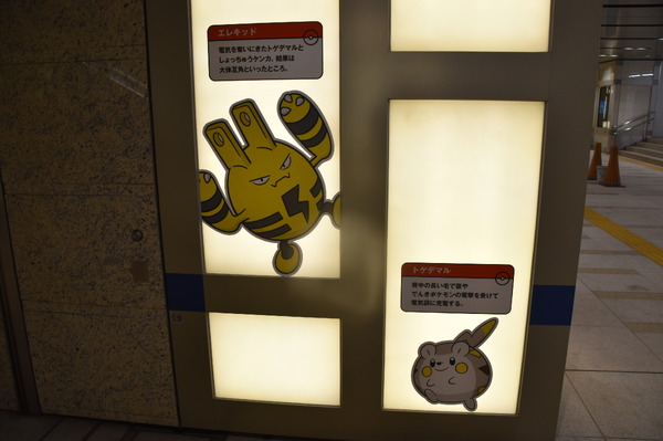 照明には電気タイプのポケモンたちが！