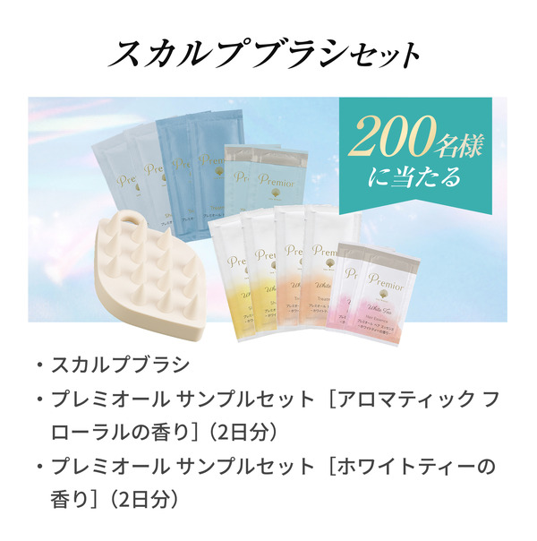 「スカルプブラシセット」