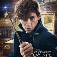 (C) 2016 Warner Bros. Ent. All Rights Reserved.Harry Potter and Fantastic Beasts Publishing Rights (C) JKR.