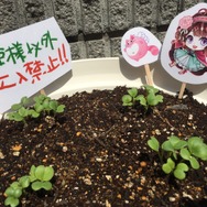 （c）DAME×PROJECT/NHN PlayArt Corp.