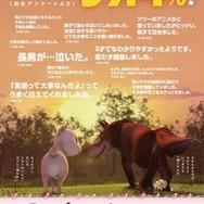 「あらしのよるに～ひみつのともだち～」シアターセレクション“きずな編”