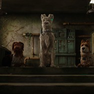 映画『犬ヶ島』(C)2018 Twentieth Century Fox Film Corporation