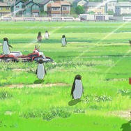 『ペンギン・ハイウェイ』最新映像公開 (C) 2018 森見登美彦・KADOKAWA／「ペンギン・ハイウェイ」製作委員会