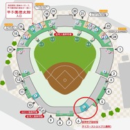 阪神甲子園球場タイガースショップ（1塁側）マップ