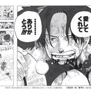 ミニ複製原画　(C)尾田栄一郎／集英社