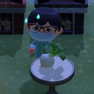 『あつまれ どうぶつの森』“カブ”であなたも億万長者!?　儲かる・便利・意外な使い道のあるカブ取引をはじめよう