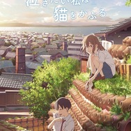 『泣きたい私は猫をかぶる』本ビジュアル（C）2020 「泣きたい私は猫をかぶる」製作委員会