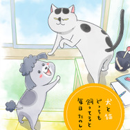 『犬と猫どっちも飼ってると毎日たのしい』第2弾キービジュアル（C）松本ひで吉・講談社／犬と猫製作委員会