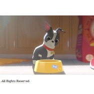 「ベイマックス」同時上映短編は「愛犬とごちそう」　ディズニー全社員公募コンペからアニメ化