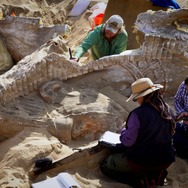 『土曜ミステリーファイル「仰天！海の底まる見え検証 4」』(c)National Geographic