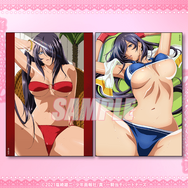 D賞：ブロマイド2枚セット（全6種)