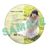 『進藤あまね1st写真集 翠～Midori～』主婦の友インフォス限定セット メイキングDVD