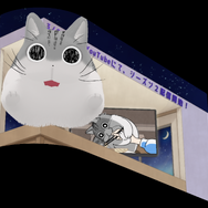 『夜は猫といっしょ』3Dビジョン（C）キュル Z・KADOKAWA/夜は猫といっしょ