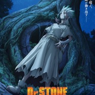 『Dr.STONE NEW WORLD』ビジュアル（C）米スタジオ・Boichi／集英社・Dr.STONE製作委員会